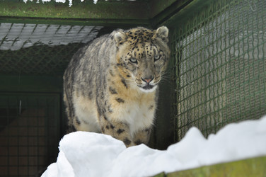 Similar image 21751691