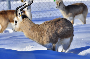 Similar image 21751692