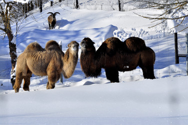 Similar image 21751693