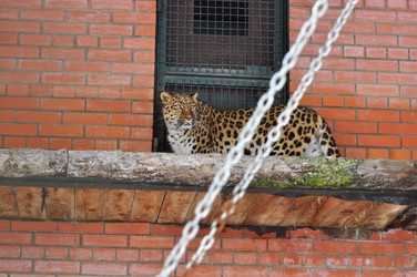 Similar image 21751694