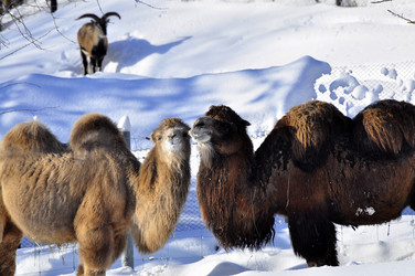 Similar image 21751695