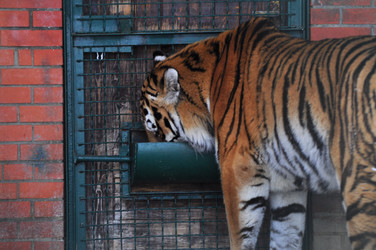 Similar image 21751785