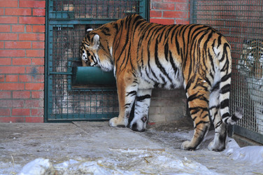 Similar image 21751786