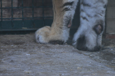 Similar image 21751787