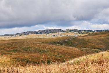 Similar image 21755130