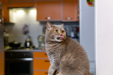 Similar image 21755132