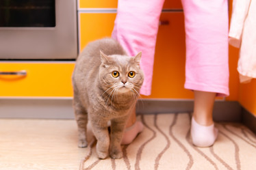 Similar image 21755136