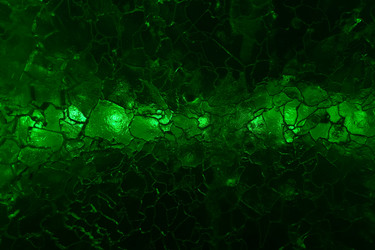 Similar image 21755587