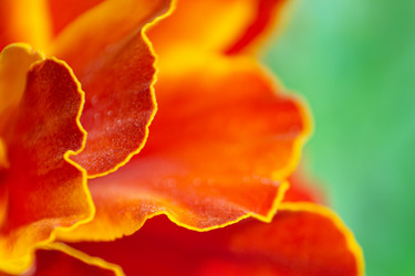 Similar image 21752213