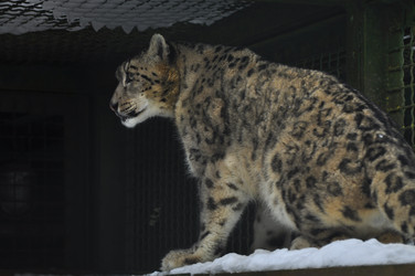 Similar image 21751481