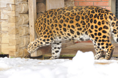 Similar image 21751482