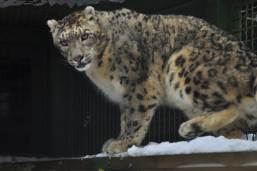 Similar image 21751635