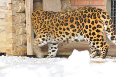 Similar image 21751636