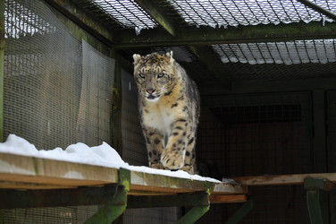 Similar image 21751637