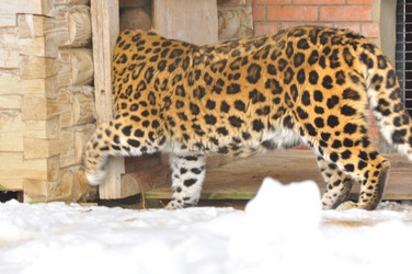 Similar image 21751638