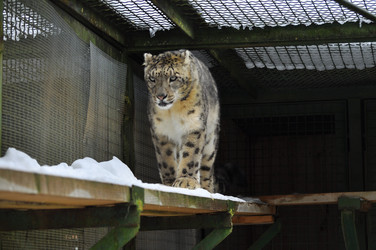 Similar image 21751639