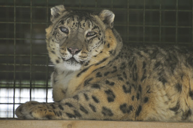 Similar image 21751696