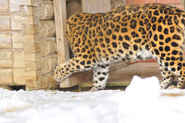 Similar image 21751697