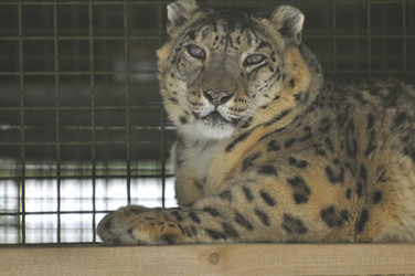 Similar image 21751698