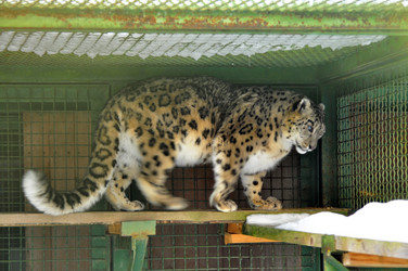 Similar image 21751700