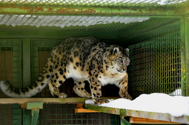 Similar image 21751701