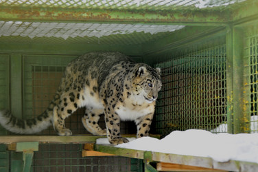 Similar image 21751702