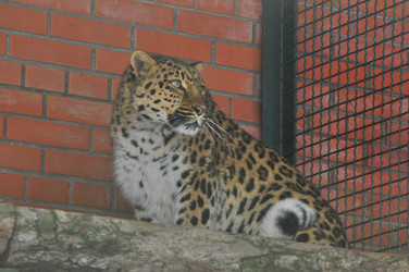 Similar image 21751703