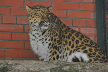 Similar image 21751704