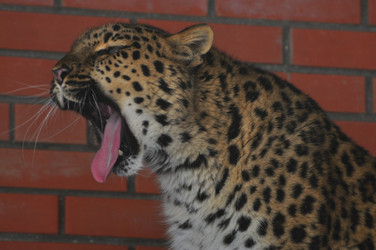 Similar image 21751705