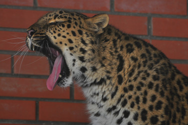 Similar image 21751706