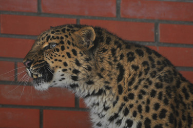 Similar image 21751707