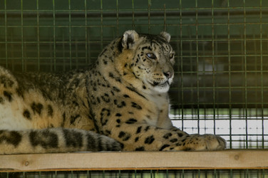 Similar image 21751708