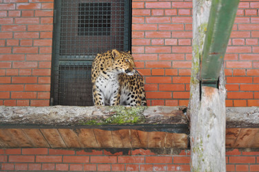 Similar image 21751709