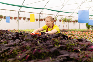 Similar image 21754310