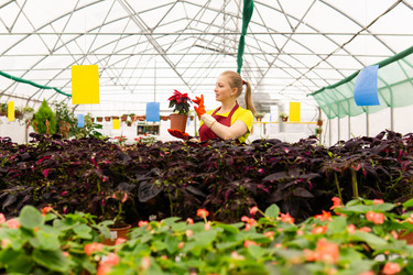 Similar image 21754311