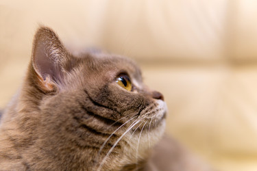 Similar image 21752542