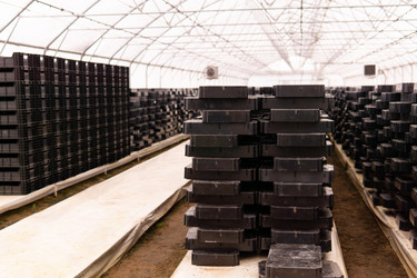 Similar image 21752545