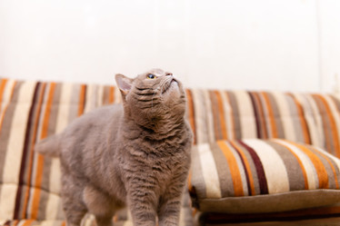 Similar image 21755326