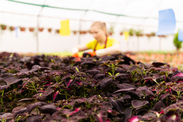 Similar image 21755328