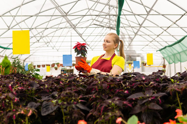 Similar image 21756710