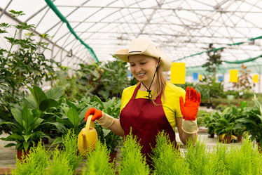 Similar image 21756711