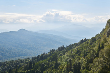 Similar image 21753300