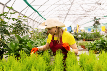 Similar image 21756712