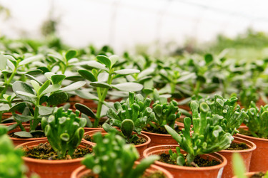 Similar image 21753706