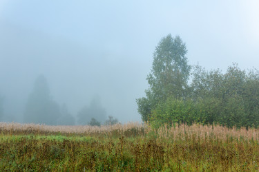 Similar image 21753709