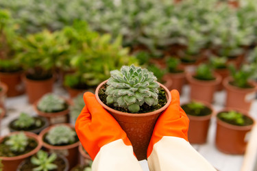 Similar image 21756715