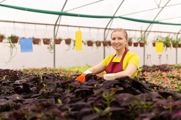 Similar image 21756716