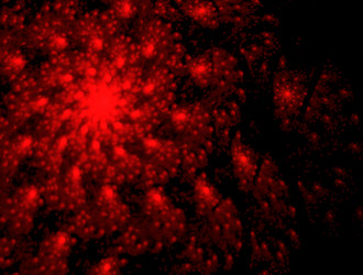 Similar image 21759407