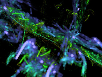 Similar image 21759883