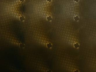 Similar image 21759911